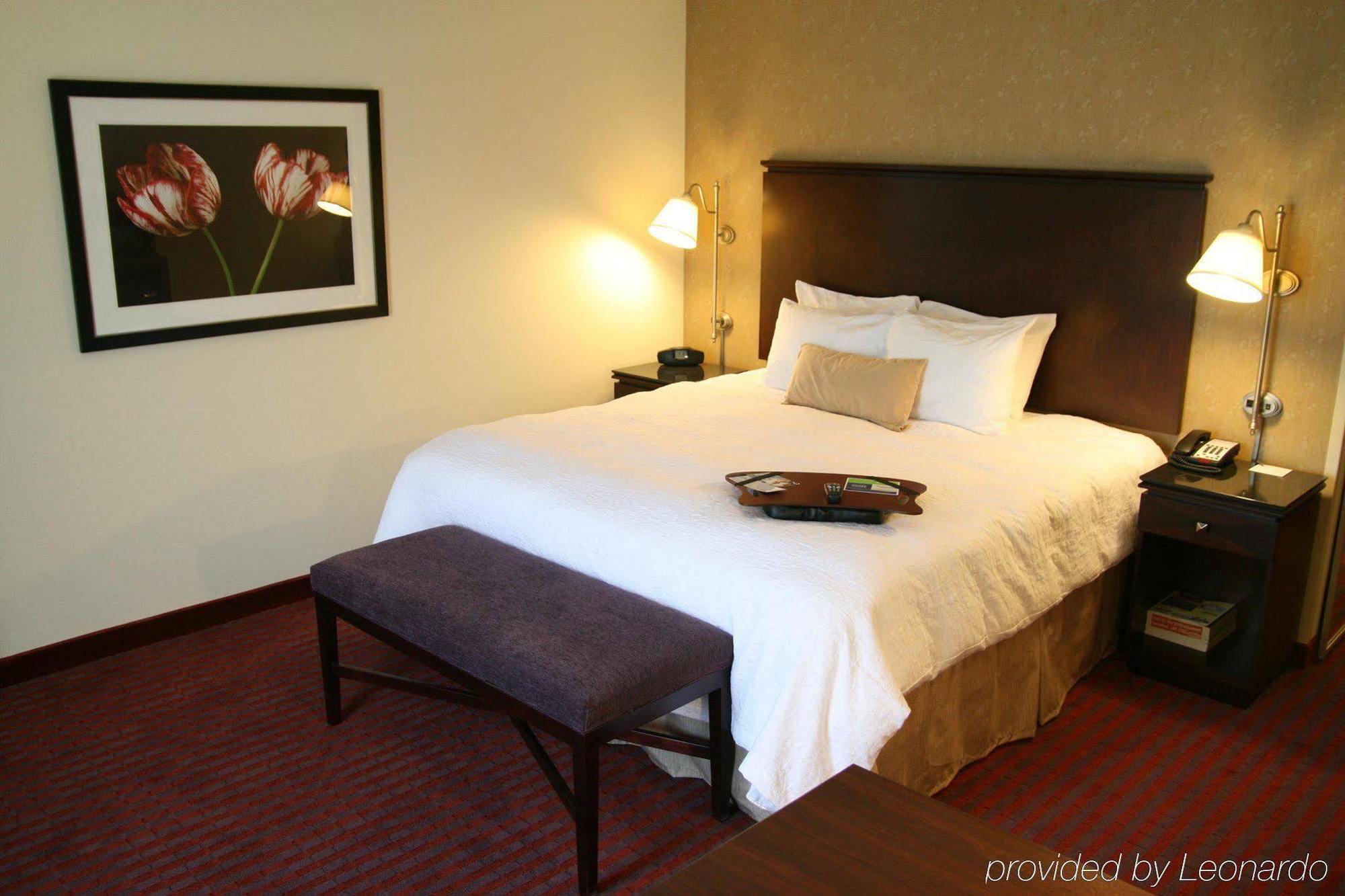 Hampton Inn Richmond - Airport Сендстон Номер фото